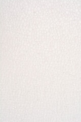 A close-up image presents a textured surface of white polystyrene foam, characterized by numerous small, interconnected beads creating a subtle, repetitive pattern