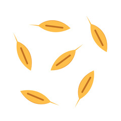 Rice seed vector. Rice seed on PNG. paddy.