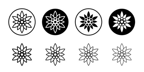 Edelweiss icon thin flat simple illustration symbol