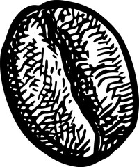 Coffee beans ink sketch.