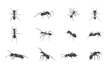 Ants svg, Ants silhouette, Ant clipart, Ant silhouette set, Ants vector set, Ant crawling silhouette, Ant drawing. 