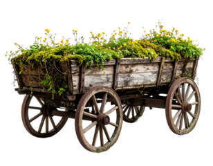 Wooden cart overgrown with moss and vines, showing signs of nature reclaiming the structure.