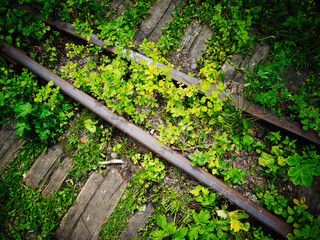 Abandoned vintage railway track transportation background
