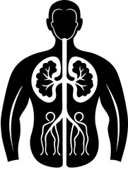 Human renal system, kidneys and bladder silhouette stock illustration  illustration  black and white , white background