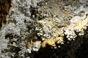 Inside of beautiful old dark cave with many stalactites. Grotte di Is Zuddas, Italy, Sardinia