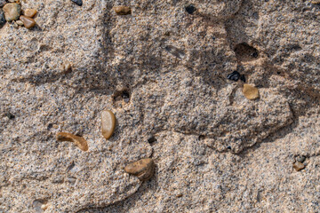 Conglomerate is a sedimentary rock, (Tbm) Conglomerate at Boat Mesa. Bryce Point, Bryce Canyon National Park, Utah.