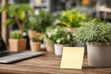 Bright workspace with plants and a blank sticky note on wooden table during daytime