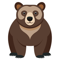 bear vector image on white background