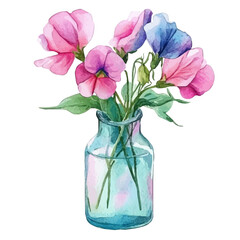A Sweet Pea In A Vase, watercolor painting vector, isolated on a white background.