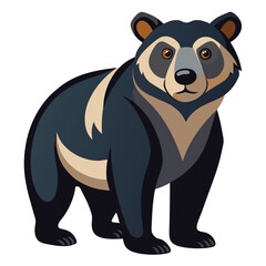 bear vector image on white background