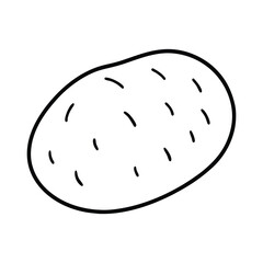 vector illustration of an apple