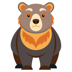 bear vector image on white background