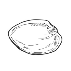 Pistachio shell vector hand drawn sketch