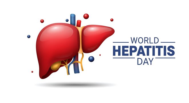 World Hepatitis Day illustration featuring a detailed 3D model of a human liver with blood vessels.