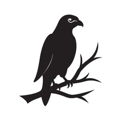 Hawk Perched On Branch Silhouette