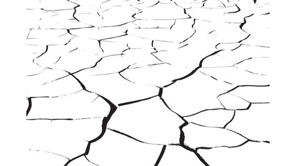 Dry Land Cracks Close-Up