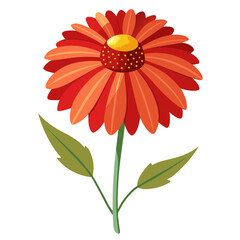 white background on flower Helenium