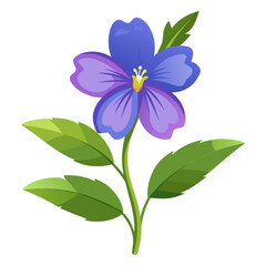 Fototapeta premium white background on flower Periwinkle