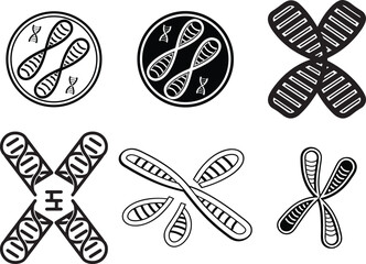 Chromosome Vector Icon | Black and White Genetic Structure Symbol on Blank Background