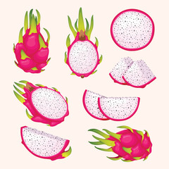 Fruit, Dragon Fruit, Tropical Fruits, Set of Vector Illustrations, Hand Drawn