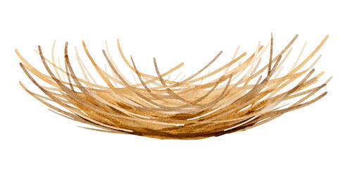 Watercolor nest illustration on transparent background. © beyouenked