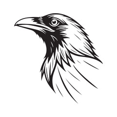 Obraz premium Common blackbird vector art illustration