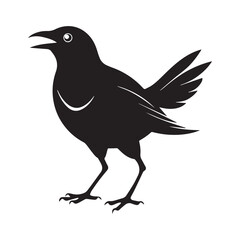 Common blackbird vector art illustration