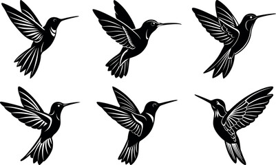 Hummingbird Silhouette Collection Set and Editable Vector Bundle for Nature Graphics, Floral Designs, and Creative Art Projects