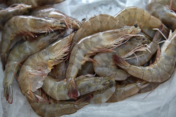 Fresh raw shrimps preparing in bowl