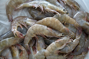 Fresh raw shrimps preparing in bowl