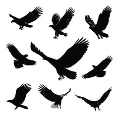 vector illustration of an eagle