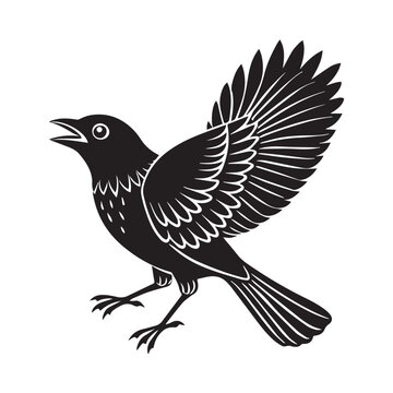 Common blackbird vector art illustration