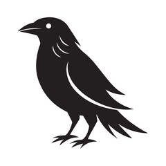 Obraz premium Common blackbird vector art illustration