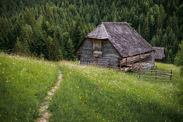 Wooden cabins nestled on a mountain slope overlook vast green meadows, creating a cozy and peaceful...
