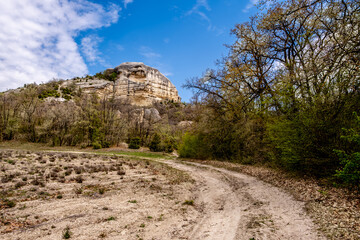 A dirt road near the trees leading to the hills.