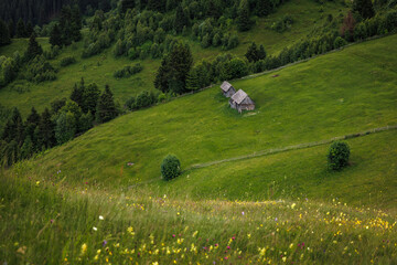 Wooden cabins nestled on a mountain slope overlook vast green meadows, creating a cozy and peaceful...