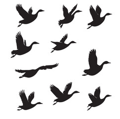 flying goose silhouette