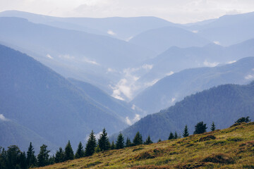 Fototapeta premium The Carpathian Mountains in Romania are a majestic mountain range, rich in wildlife, forests, and breathtaking landscapes.