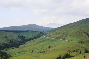 The Carpathian Mountains in Romania are a majestic mountain range, rich in wildlife, forests, and breathtaking landscapes.