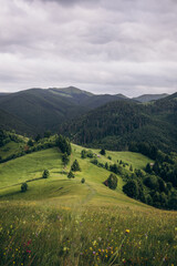 Obraz premium The Carpathian Mountains in Romania are a majestic mountain range, rich in wildlife, forests, and breathtaking landscapes.