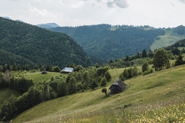 Wooden cabins nestled on a mountain slope overlook vast green meadows, creating a cozy and peaceful...