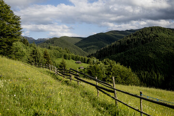 Fototapeta premium The Carpathian Mountains in Romania are a majestic mountain range, rich in wildlife, forests, and breathtaking landscapes.