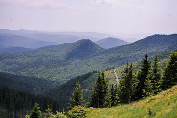 The Carpathian Mountains in Romania are a majestic mountain range, rich in wildlife, forests, and breathtaking landscapes.