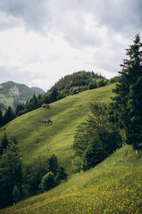Fototapeta premium Wooden cabins nestled on a mountain slope overlook vast green meadows, creating a cozy and peaceful countryside retreat.
