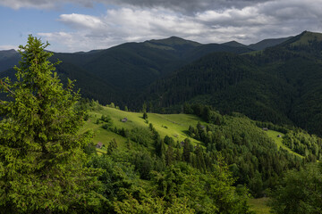 Obraz premium The Carpathian Mountains in Romania are a majestic mountain range, rich in wildlife, forests, and breathtaking landscapes.
