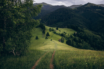 Obraz premium The Carpathian Mountains in Romania are a majestic mountain range, rich in wildlife, forests, and breathtaking landscapes.