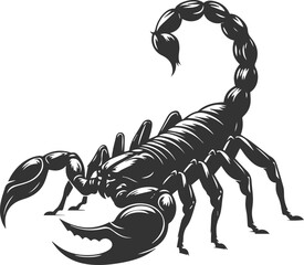 Vector illustration of a scorpion insect silhouette drawing