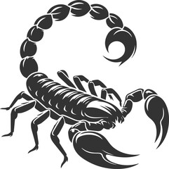 Vector illustration of a scorpion insect silhouette drawing