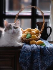 Pretty kitty and basket with apricot
