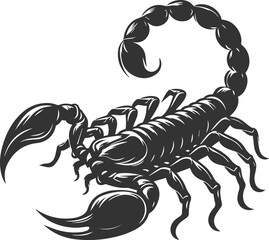 Vector illustration of a scorpion insect silhouette drawing
